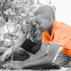 ISO 14001 Lead Auditor (Self-Study)