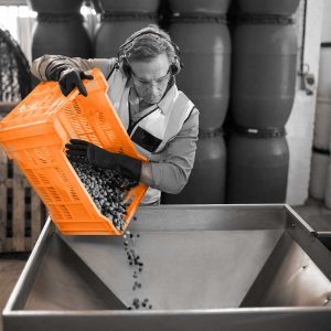 ISO 22000 Foundation (Self-Study)