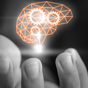 Principles and Strategies of Innovation (In-Class / Online)