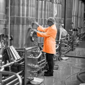 Principles and Methodologies of Risk-Based Inspection (In-Class / Online)