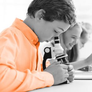 Education Management