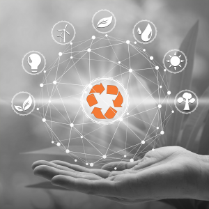 Environmental Management Systems and Sustainability